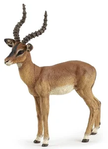 Bild von Impala
