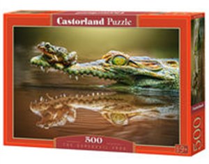 Obrazek Puzzle The Daredevil Frog 500