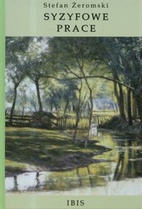 Obrazek Syzyfowe prace