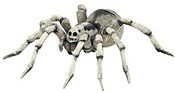 Polska książka : Tarantula