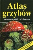 Książka : Atlas grzy... - Markus Fluck