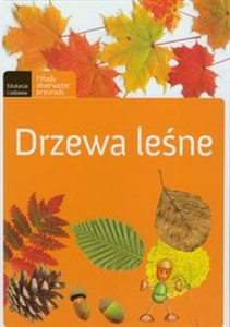 Obrazek Drzewa leśne
