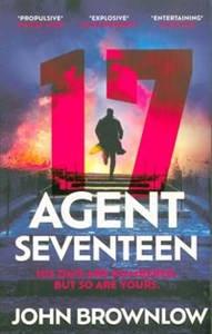 Bild von Agent Seventeen