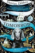 Książka : Tomorrow - Damian Dibben