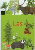 Las -  fremdsprachige bücher polnisch 