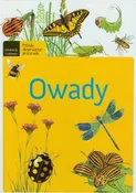 Książka : Owady