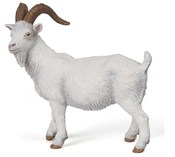 Koza -  Książka z wysyłką do Niemiec 