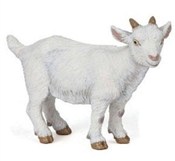 Polnische buch : Koza młoda...