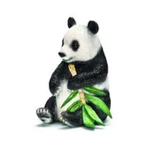 Polska książka : Panda