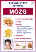 Mózg Encyk... -  Książka z wysyłką do Niemiec 