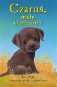 Obrazek Czaruś mały uciekinier