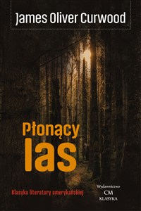 Obrazek Płonący las