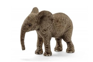 Obrazek Młody słoń afrykański