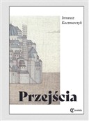 Polska książka : Przejścia - Ireneusz Kaczmarczyk