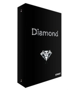 Obrazek Segregator A4 Treasure