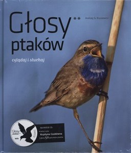 Obrazek Głosy ptaków część 2