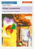 Książka : Sklepy cyn... - Bruno Schulz