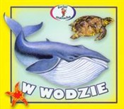 W wodzie -  fremdsprachige bücher polnisch 