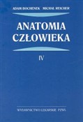 Anatomia c... - Adam Bochenek, Michał Reicher -  fremdsprachige bücher polnisch 