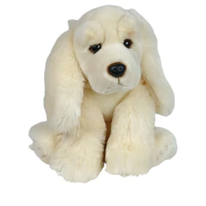 Bild von Spaniel jasny