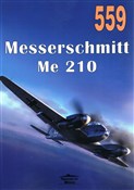 Zobacz : Messerschm... - Janusz Ledwoch