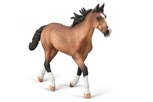 Bild von Ogier standardbred maści gniadej