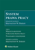 Polnische buch : System pra... - Marta Otto, Piotr Prusinowski, Iwona Sierocka, Mariusz Lekston, Aleksander Gadkowski, Katarzyna Sera