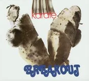 Karate - Breakout -  Polnische Buchandlung 