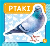 Polnische buch : Ptaki - Wydawnictwo Skrzat