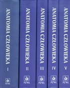 Anatomia c... - Adam Bochenek, Michał Reicher -  Polnische Buchandlung 