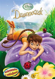 Bild von Disney Wróżki NA12