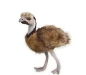 Emu -  Książka z wysyłką do Niemiec 