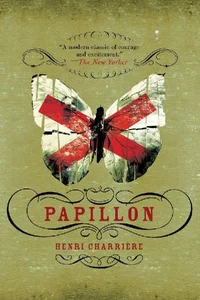 Bild von Papillon