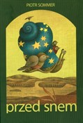 Polnische buch : Przed snem... - Piotr Sommer
