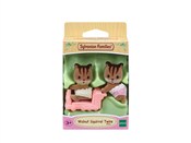 Polska książka : Bliźniaki ...