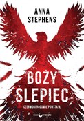Boży ślepi... - Stephens Anna -  polnische Bücher