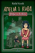 Amelia i K... - Rafał Kosik -  Książka z wysyłką do Niemiec 