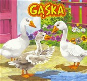 Polska książka : Gąska - Katarzyna Campbell