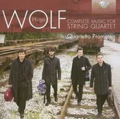 Polnische buch : Hugo Wolf:...