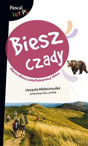 Obrazek Bieszczady Pascal Lajt
