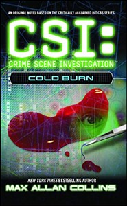 Bild von Cold Burn (Volume 3) (CSI)
