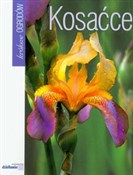 Kosaćce - Jacek Marcinkowski -  Książka z wysyłką do Niemiec 