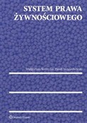 System pra... - Małgorzata Korzycka, Paweł Wojciechowski -  Książka z wysyłką do Niemiec 