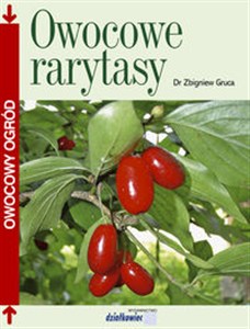 Bild von Owocowe rarytasy