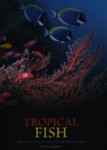 Obrazek Tropical Fish From stingrays to clown fish
