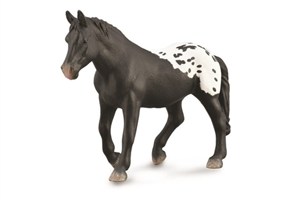 Obrazek Klacz Sugarbush Draft