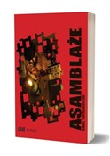 Asamblaże - Daniel Piotr Ciesielski -  Polnische Buchandlung 