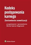 Kodeks pos... - Michał Gabriel-Węglowski -  Polnische Buchandlung 