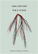 Pasierb - Juan Jose Saer -  Polnische Buchandlung 