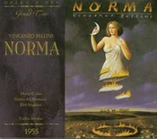Bellini: N... -  fremdsprachige bücher polnisch 